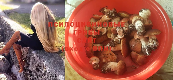 скорость Медвежьегорск