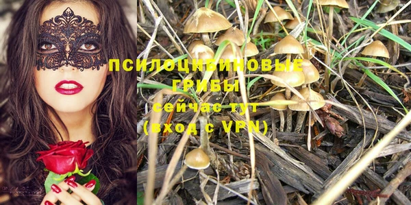 ECSTASY Медногорск