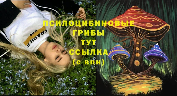 скорость Медвежьегорск