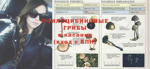 ECSTASY Медногорск