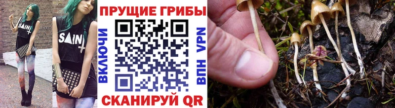 Галлюциногенные грибы MAGIC MUSHROOMS Щёлкино